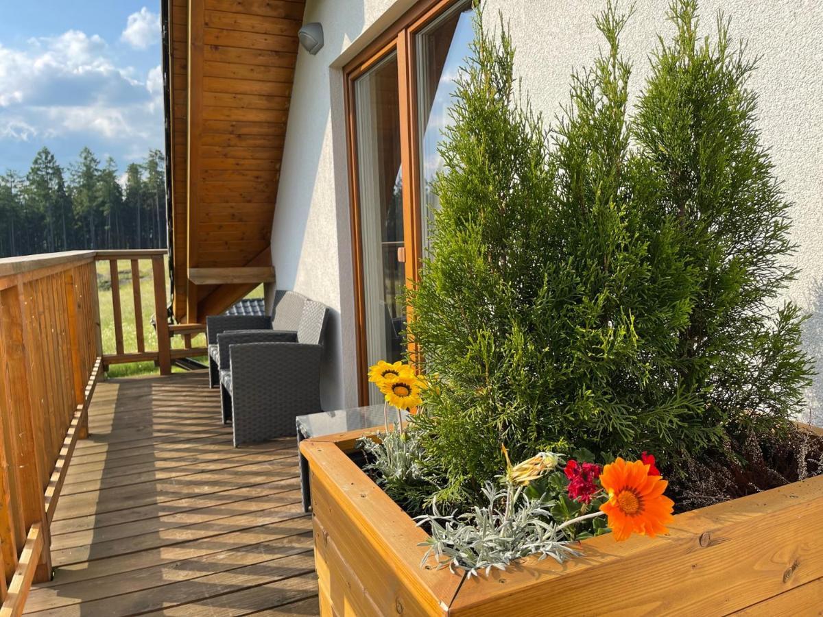 Apartmány MAX Vaclavov u Bruntalu Exteriér fotografie